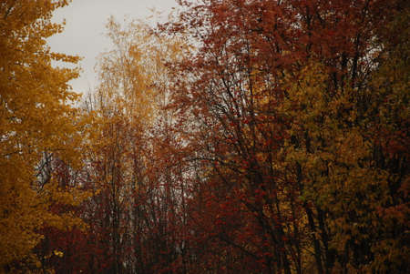 Moscow, OCtober 2014の写真素材