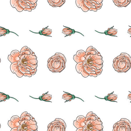 Briar rose sketch seamless pattern. Pink flowers with black outline on white background. Vector illustration.のイラスト素材