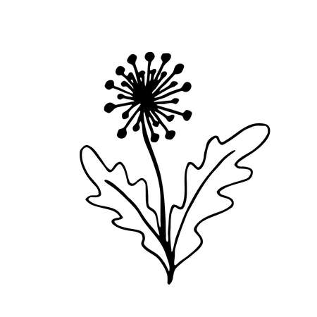 Hand drawn fantasy flower. Vector illustration. Black outline doodle isolated on white background.のイラスト素材