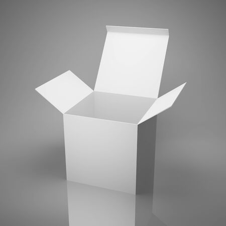 Blank open cardboard box