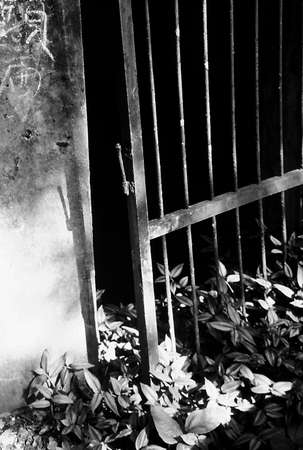 old imageの写真素材