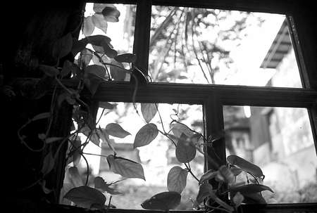 old imageの写真素材