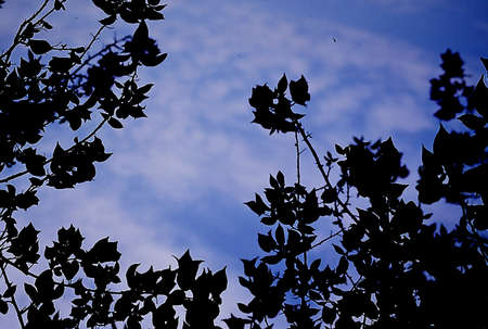 old imageの写真素材