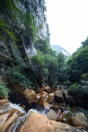 Mountain landscape with a river flowing through the gorge in the forestの写真素材