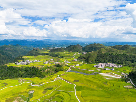 Aerial view of green rice field and village at countrysideの写真素材