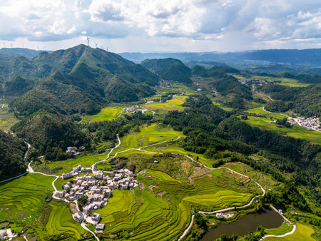 Aerial view of rice terracesの写真素材