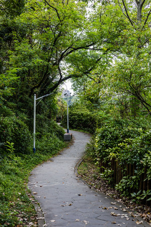 Garden path in a public park with trees in the background.の写真素材