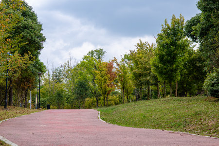 Walkway in the park with colorful trees and cloudy sky background.の写真素材