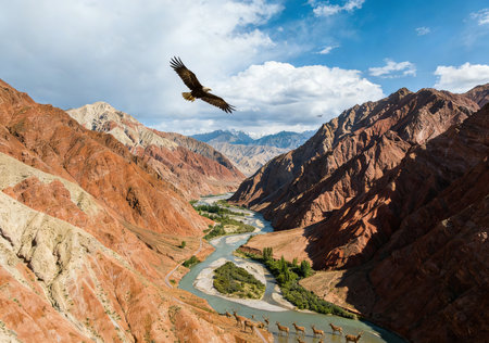 Beautiful view of the mountain river and the valley. Kyrgyzstanの素材