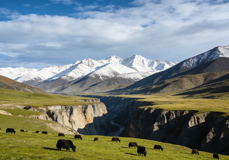 Mountain landscape with a herd of yaks grazing in the grassの素材