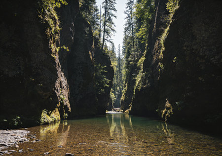 Beautiful view of a mountain river flowing through rocks in the forestの素材