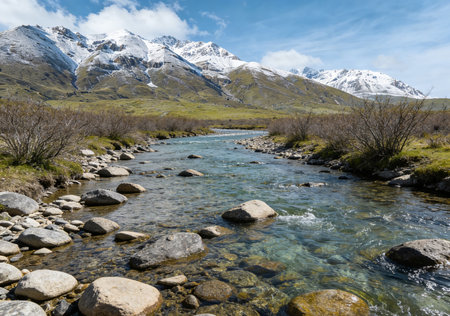 Natural landscape of New Zealand alps and mountain river in a sunny dayの素材