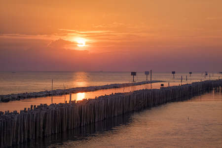 Wonderful  golden Sunset  on ocean in natural climate tropical at Bangkhunthien place is a bordering the sea of Bangkok / Thailandの写真素材