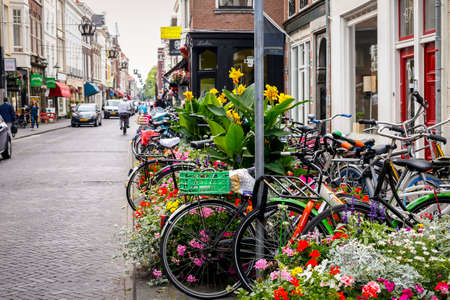 Flower garden by the streetのeditorial素材