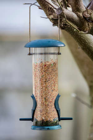 Handing bird feeder for gardensの写真素材