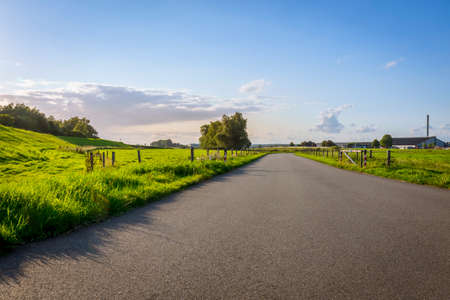 Path between wild green fieldsの写真素材