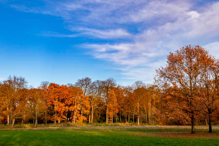 beautiful colors of autumn fall season with blue sky landscape photoの写真素材