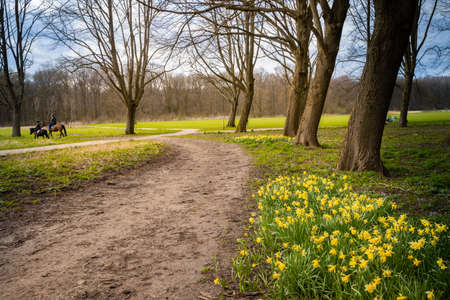 pathway in an autumn parks nature colors pond and background treesの写真素材