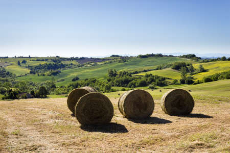 Round hay bales, Monferrato hills, Italyの写真素材