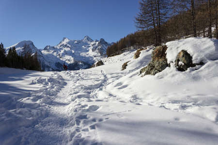 Snowshoeing in Aosta valleyの写真素材