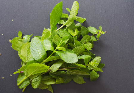 Fresh Kitchen Herbs for lamb oregano, mint, rosemary, lemon thyme on black stone as texture or...