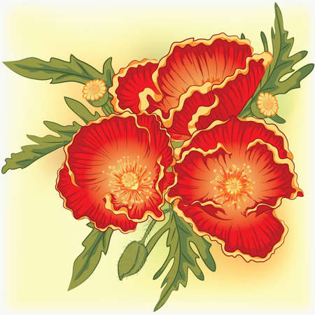vector illustration bouquet of three red poppiesのイラスト素材
