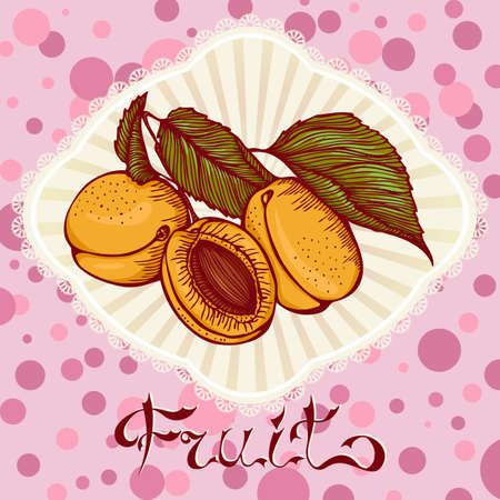 Color graphic card with apricots. Design for menu, notebook, diary, sticker, greeting card, commercial.のイラスト素材