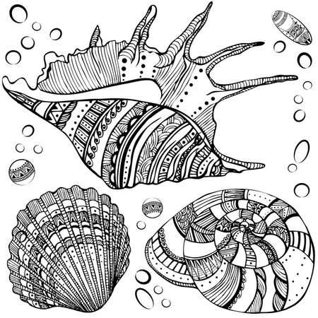 illustration set of decorative seashells isolated on white background.  Boho style.のイラスト素材