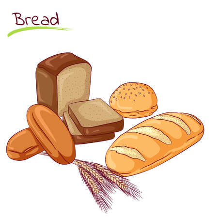 Various bread loafsのイラスト素材