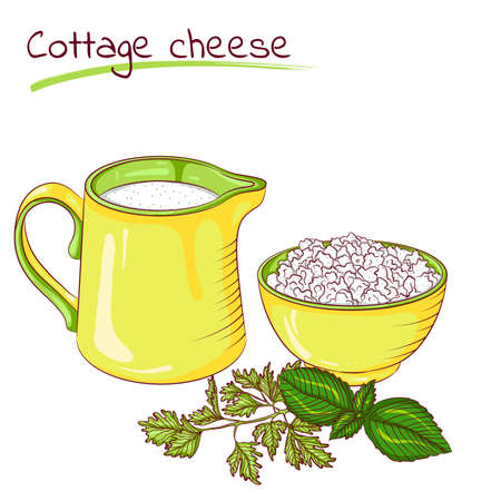 Milk and cottage cheeseのイラスト素材