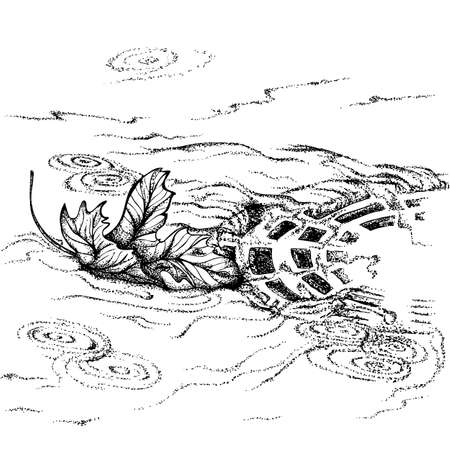 Maple Leaf floating in the drain in rainy weather. Vector hand drawn illustration. Monochrome drawing isolated on white backgroundのイラスト素材