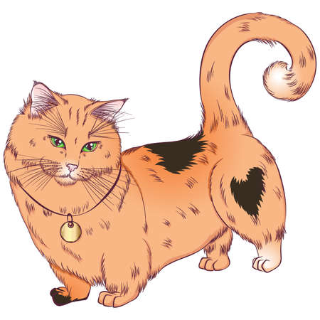 マンチカンの写真 イラスト素材一覧 1 050件 ストックフォトのamanaimages Plus