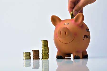 Piggy bank in which a coin is inserted through its slot