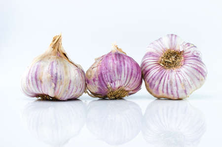 Three garlic freshly harvested from the garden on white background.の写真素材