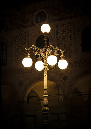 Old street lamp with mosquitoes at night
の写真素材