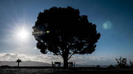 Tree in Crete in a sunny day with chairs, table and a little greek church 