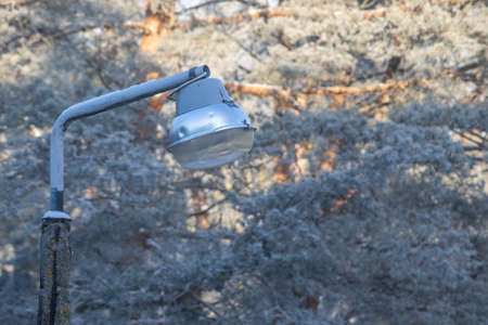 Street lamp on the background of a winter park. Broken concrete pillar. Protruding armature.