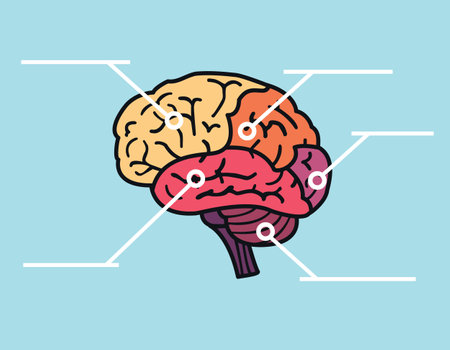 Map of brain with copyspace title のイラスト素材