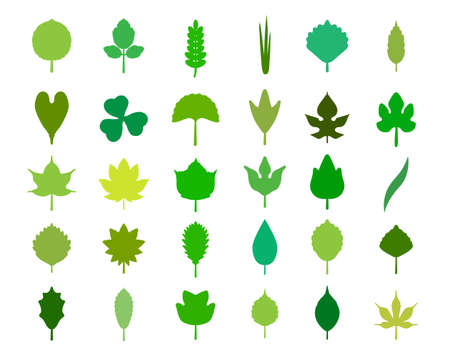 Leaf illustration illustration setのイラスト素材