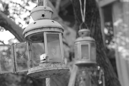 Chandeliers hung by ropes and hooks tied to a tree in a home garden.の写真素材