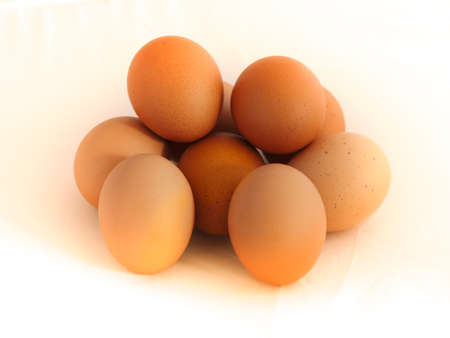 Eggs on white backgroundの写真素材