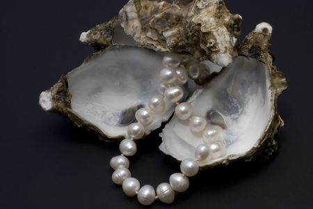 the oysters and their nacre on black bottomの写真素材