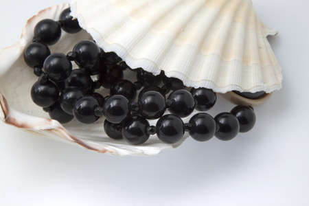 Black pearls and shell on a white backgroundの写真素材