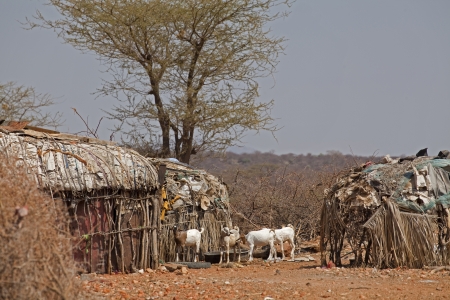 village in the savannah in Kenyaの写真素材