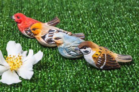 the birds in the meadowの写真素材