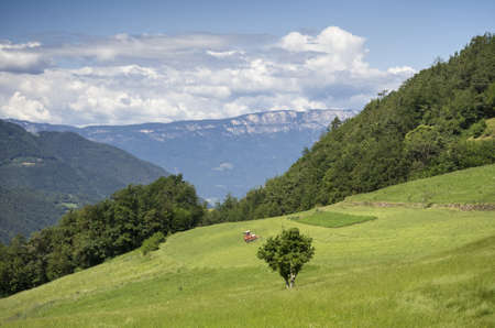 Rural Landscape in South Tyrol  Bolzano の写真素材