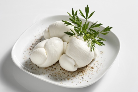 an italian kind of cheese and parsleyの写真素材