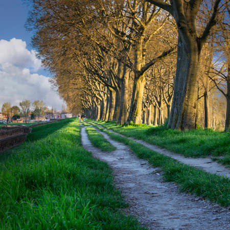 The Walls of Ferrara  in italian Le Mura  in Italyの写真素材