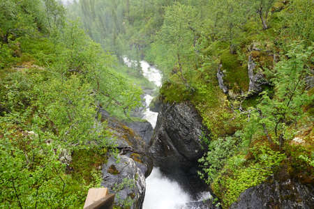 water fall in Swedish hiking trail in summerの写真素材