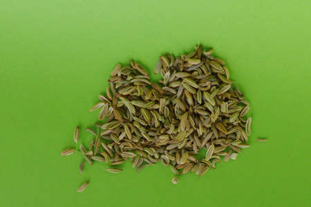 Closeup of wild fennel seeds on a green background